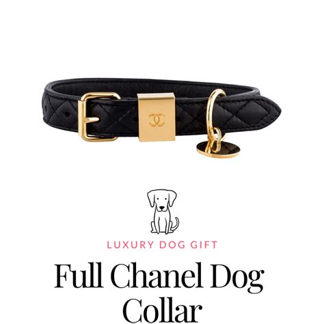 collar de chanel|chanel collar for dogs.